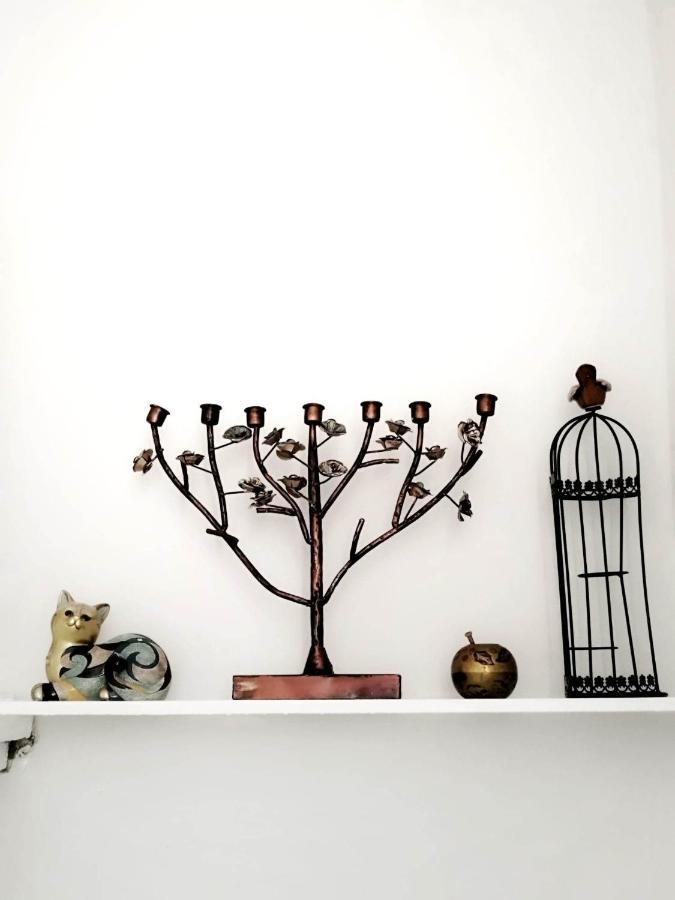 Apartment With Garden Hanja モスタル エクステリア 写真